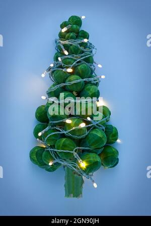 Germogli di Bruxelles a forma di albero di Natale avvolti in luci di Natale scintillanti Foto Stock