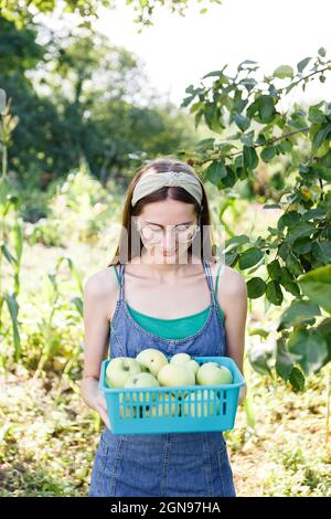 giovane donna che tiene un cesto con le mele raccolte Foto Stock