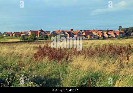 Butterfield Meadow, Heacham, Hunstanton, sviluppo di nuovi alloggi, estate, Su un terreno precedentemente agricolo, scomparendo rurale Inghilterra Foto Stock