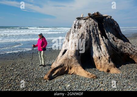 Escursionista sulla spiaggia 2, Olympic National Park, Washington Foto Stock