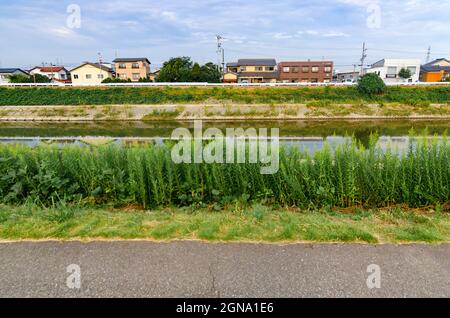 Case rurali di Kanazawa, architettura tradizionale, fascino della campagna, fattorie giapponesi, paesaggi rurali Foto Stock