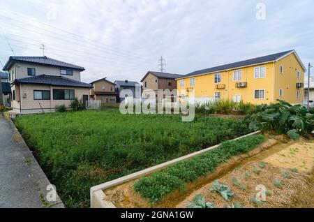 Case rurali di Kanazawa, architettura tradizionale, fascino della campagna, fattorie giapponesi, paesaggi rurali Foto Stock