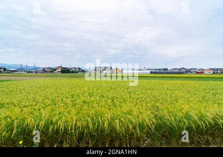 Case rurali di Kanazawa, architettura tradizionale, fascino della campagna, fattorie giapponesi, paesaggi rurali Foto Stock