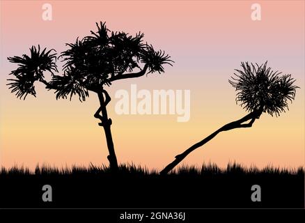 due alberi di pandanus erba che cresce in fondo all'illustrazione al tramonto Illustrazione Vettoriale