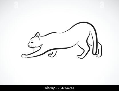 Vettore di un disegno del gatto su sfondo bianco. PET. Animali. Logo o icona CATS. Illustrazione vettoriale a livelli facilmente modificabile. Illustrazione Vettoriale