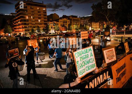 Lisbona, Portogallo. 23 settembre 2021. I manifestanti si riuniscono nei dintorni dell'arena di campo Pequeno mentre prendono parte alla manifestazione. Diversi gruppi di attivisti per i diritti degli animali hanno protestato contro le corride, in coincidenza con la riapertura dell'arena della capitale portoghese dopo la sua chiusura a causa della pandemia del COVID-19. (Foto di Jorge Castellanos/SOPA Images/Sipa USA) Credit: Sipa USA/Alamy Live News Foto Stock