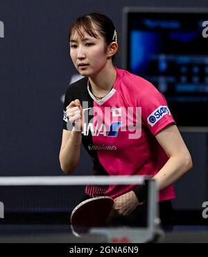 Doha, Qatar. 23 settembre 2021. Hayata Hina del Giappone reagisce durante il Singles Round 16 delle donne contro Choi Hyojoo della Corea del Sud al WTT Star Contender Doha 2021 a Doha, Qatar, il 23 settembre 2021. Credit: Nikku/Xinhua/Alamy Live News Foto Stock