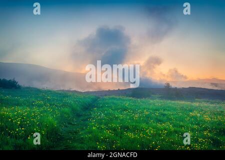 Alba estiva a nebbia nella valle di Great Geysir, sulle pendici della collina di Laugarfjall. Colorata scena mattutina nell'Islanda sudoccidentale, in Europa. Stile artistico Foto Stock