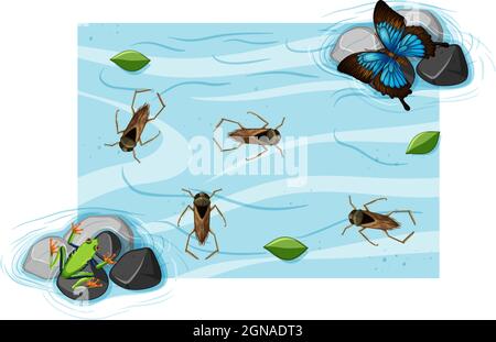 Vista dall'alto degli insetti acquatici nell'illustrazione dello stagno Illustrazione Vettoriale