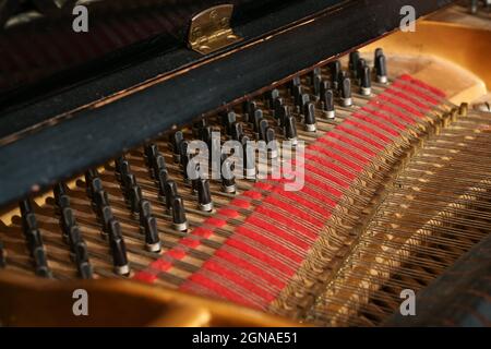 Dettaglio all'interno di un grande pianoforte, spilli o pioli con archi e qualche polvere nel vecchio strumento musicale acustico, concetto per musica e cultura, selezionato f Foto Stock