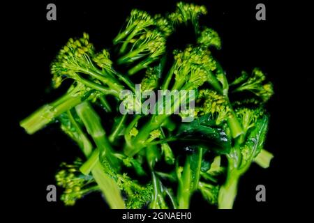 cuocere a vapore i broccoli o i broccolini con fondo nero in un cibo sano e a primo piano Foto Stock
