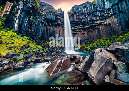 Drammatica vista la mattina del famoso Svartifoss (nero caduta) cascata. Estate colorato sunrise in Skaftafell, Vatnajokull National Park, l'Islanda, l'Europa. Foto Stock