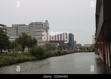 Si può prendere il treno, la metropolitana e il tram Amsterdam Zuid, cuore del quartiere finanziario dei Paesi Bassi Foto Stock