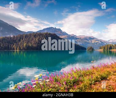 Bella mattinata estiva sul lago di Silvaplana. Grande scena all'aperto nelle Alpi svizzere, provincia di Sondrio Regione Lombardia, Italia, Europa. Stile artistico post p Foto Stock