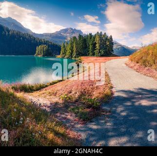 Mattinata estiva soleggiata sul lago di Silvaplana. Grande scena all'aperto nelle Alpi svizzere, provincia di Sondrio Regione Lombardia, Italia, Europa. Stile artistico post proce Foto Stock