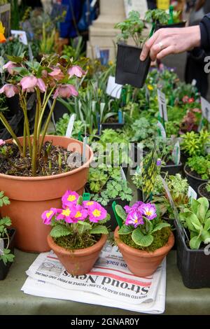 Il giornale locale 'Stroud News & Journal' su una bancarella di fiori al mercato agricolo Stroud, Gloucestershire Regno Unito Foto Stock