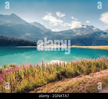 Mattinata estiva soleggiata sul lago di Silvaplana. Grande scena all'aperto nelle Alpi svizzere, provincia di Sondrio Regione Lombardia, Italia, Europa. Filtro Instagram tonato. Foto Stock