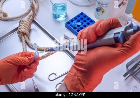 Lo scienziato della polizia estrae il campione di DNA dal corpo della vittima appesa, dall'analisi del laboratorio di criminalità, dall'immagine concettuale Foto Stock