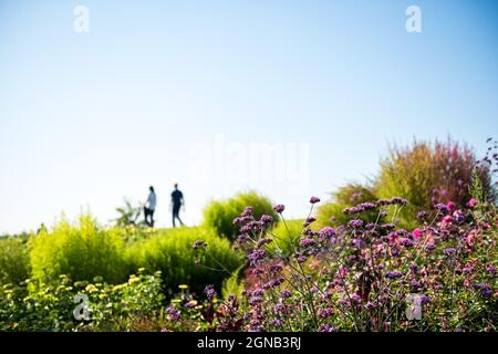 Persone in giro - Landesgartenschau Ingolstadt 2021 Foto Stock