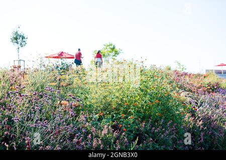 Persone in giro - Landesgartenschau Ingolstadt 2021 Foto Stock