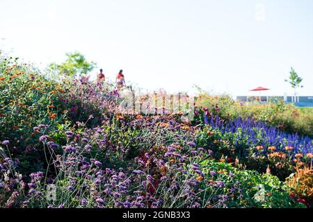 Persone in giro - Landesgartenschau Ingolstadt 2021 Foto Stock