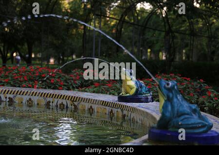 Primo piano di alcune belle figure a forma di rana su una fontana. Foto Stock