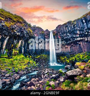 Spettacolare vista mattutina della famosa cascata di Svartifoss (Black Fall). Colorata alba estiva a Skaftafell, Parco Nazionale Vatnajokull, Islanda, Europa. Foto Stock