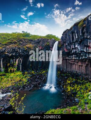 Spettacolare mattinata estiva sulla famosa cascata di Svartifoss (Black Fall). Fantastica scena all'aperto a Skaftafell, Parco Nazionale Vatnajokull, Islanda, Europa Foto Stock