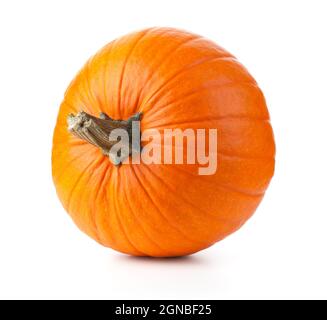 Zucca isolato su sfondo bianco. Vista laterale Foto Stock