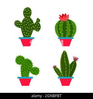 imposta il cactus in uno stile piatto su sfondo bianco. Home piante cactus in pentole e con fiori. Una varietà di cactus decorativi con fiori e senza Illustrazione Vettoriale