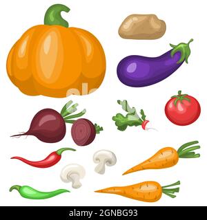 Un insieme di verdure. Illustrazione vettoriale piatta. Patate isolate, pomodori, funghi, zucca, peperoni caldi, barbabietole, ravanelli, carote, isolate su whi Illustrazione Vettoriale