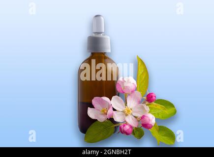 Cosmetici naturali biologici. Medicina alternativa. Bottiglia d'olio essenziale con contagocce con fiore di mela e fondo cielo blu Foto Stock