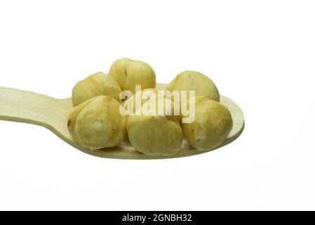 Cucchiaio di legno pieno di nocciole e fondo bianco Foto Stock