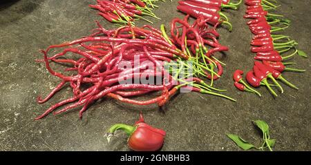 Piccanti gigli rossi Longhorns Foto Stock