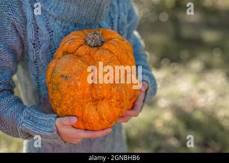 Zucca arancione deformata nelle mani di un bambino. Foto Stock