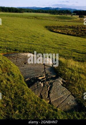 View SSE of Baluachraig prehistoric rock art, Kilmartin, Argyll, Scotland, UK, con linee e gruppi di pettini, coppe-ring e scanalature. Foto Stock