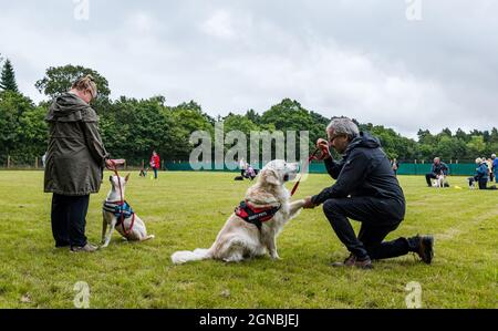 Una coppia insegna i comandi del cane alla giornata di addestramento del cane al parco di agilità del cane Unleashed, East Lothian, Scozia, Regno Unito Foto Stock