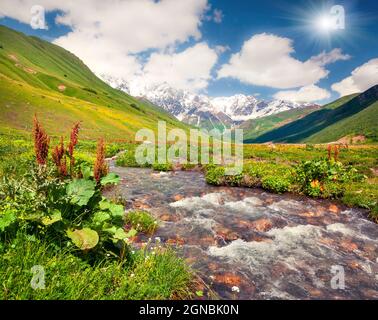 Colorata vista estiva sul fiume di acqua pura nelle montagne del Caucaso. Scena del mattino soleggiato ai piedi del monte Shkhara, Ushguli villaggio posizione, Upp Foto Stock