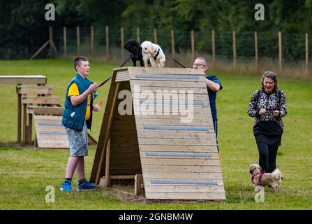 Una famiglia con cani Shih Tzu e Lhasa Apso al parco di agilità dei cani Unleashed, East Lothian, Scozia, Regno Unito Foto Stock