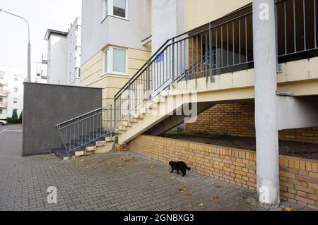 POZNAN, POLONIA - Nov 01, 2015: Un gatto nero vicino alle scale che conduce ad un edificio di appartamenti a stare Zegrze, Poznan, Polonia Foto Stock