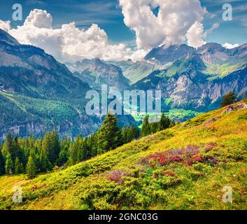 Soleggiata vista estiva del villaggio di Kandersteg dal lago Oeschinen. Colorata scena mattutina nelle Alpi svizzere, valle del fiume Kander posizione, ca Foto Stock