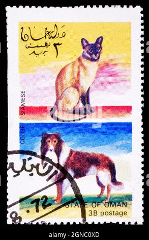 OMAN - CIRCA 1972: Un francobollo dell'Oman che mostra il gatto siamese e il cane Collie Foto Stock