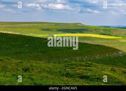 Farm paesaggio vicino Peak Forest nel Peak District National Park Derbyshire Inghilterra Regno Unito. Foto Stock