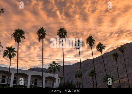 Palm Springs, Stati Uniti. 20 novembre 2020: Il centro di Palm Springs come Covid-19 chiusure continuano. Foto Stock