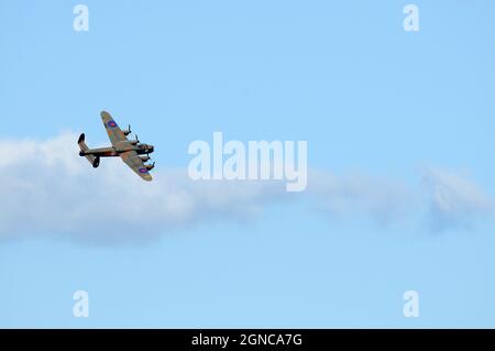 'Thumper' dal BBMF su Dawlish. Foto Stock