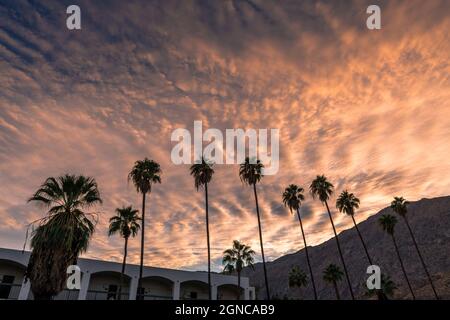 Palm Springs, Stati Uniti. 20 novembre 2020: Il centro di Palm Springs come Covid-19 chiusure continuano. Foto Stock