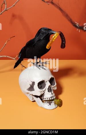 Divertente scenario di Halloween. Cranio e corvo nero con verme di gelatina, nastro decorativo e ragni Foto Stock