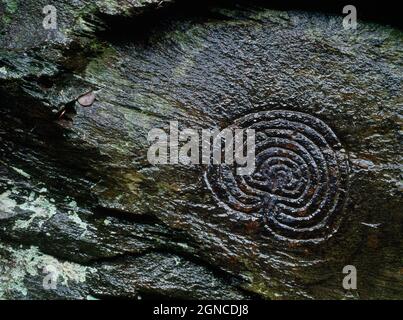 Vista e del basso (NE) di due intagli labirintici su una parete rocciosa nella Rocky Valley vicino a Tintagel, Cornovaglia, Inghilterra, Regno Unito: Preistorico o più recente? Foto Stock
