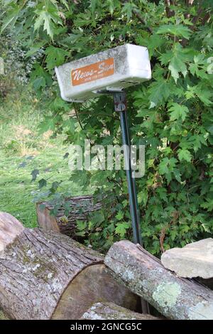 Vecchia mailbox nel bosco. Foto Stock