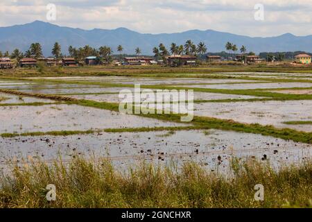 Una piccola città in lontananza, sulle rive del lago Inle, tra risaie e paesaggi paludosi, inondato di acqua, Stato Shan, Birmania, Myanmar Foto Stock